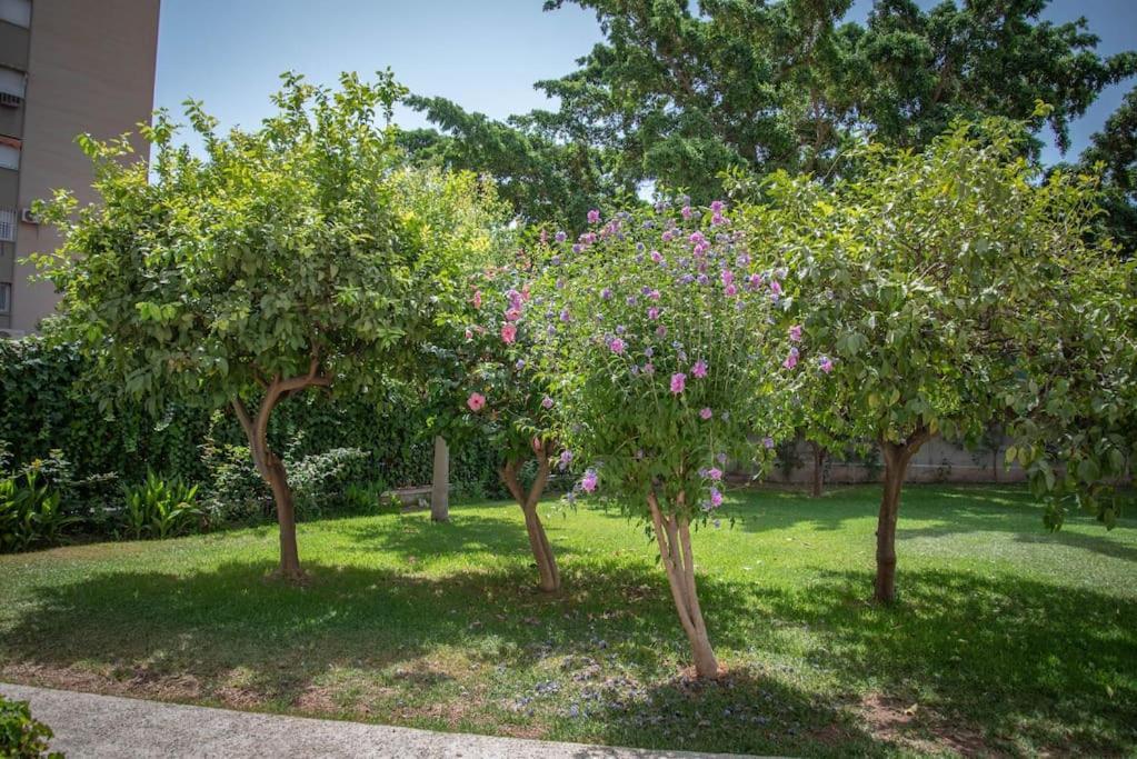 Piso Con Jardin Apartment มาลากา ภายนอก รูปภาพ